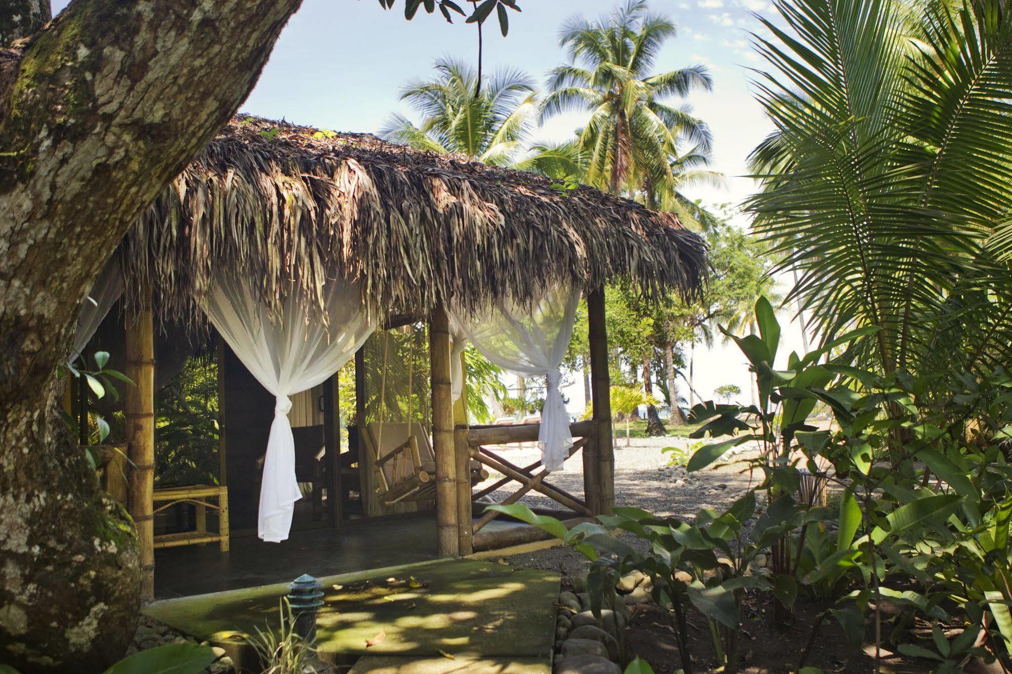 Clandestino Beach Resort パリタ エクステリア 写真