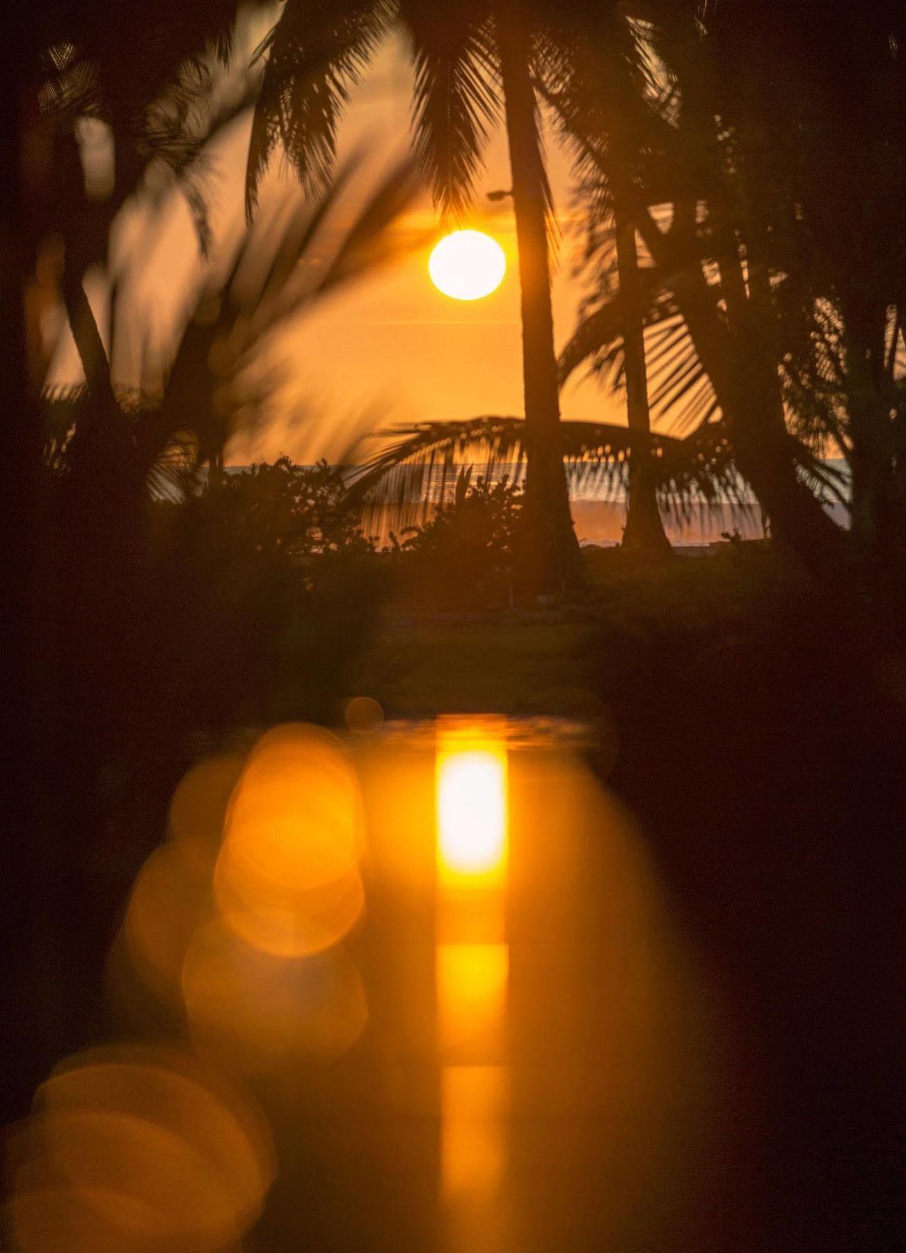 Clandestino Beach Resort パリタ エクステリア 写真