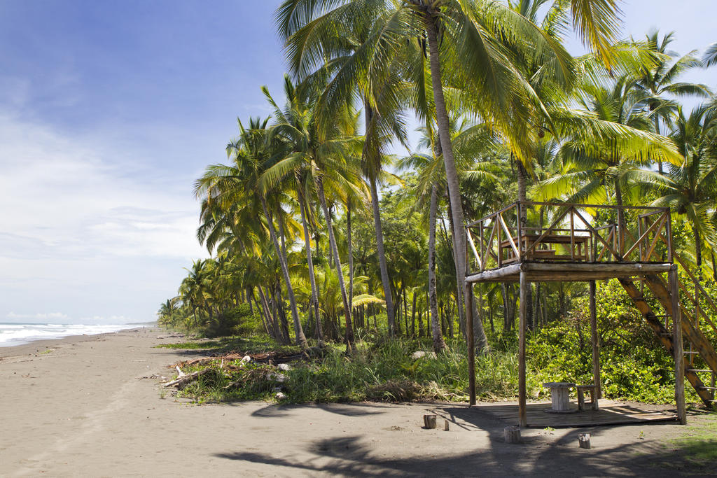 Clandestino Beach Resort パリタ エクステリア 写真