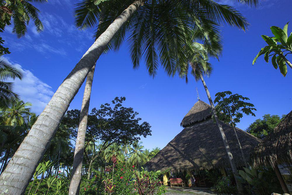 Clandestino Beach Resort パリタ エクステリア 写真